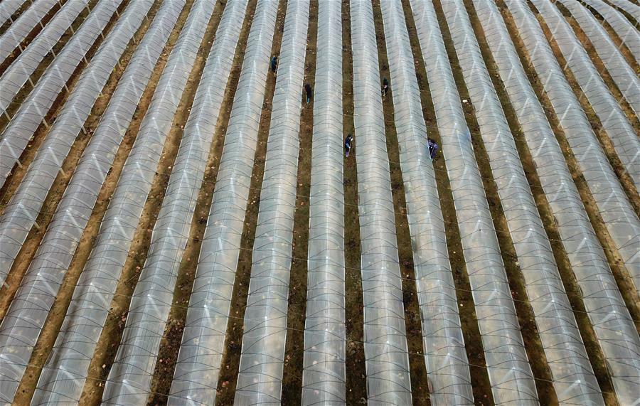 A farm started selling homemade jams, jellies, and preserves made from its own fruit