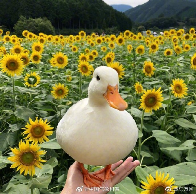 A gym started a fitness program for people with disabilities