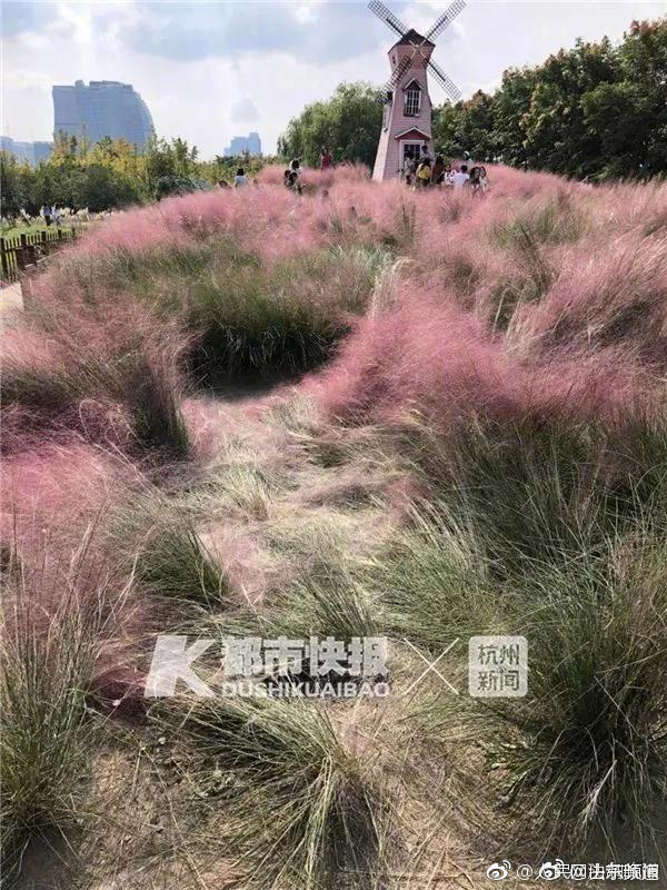 A tech company announced it will invest $700 million in research and development to create new AI technologies