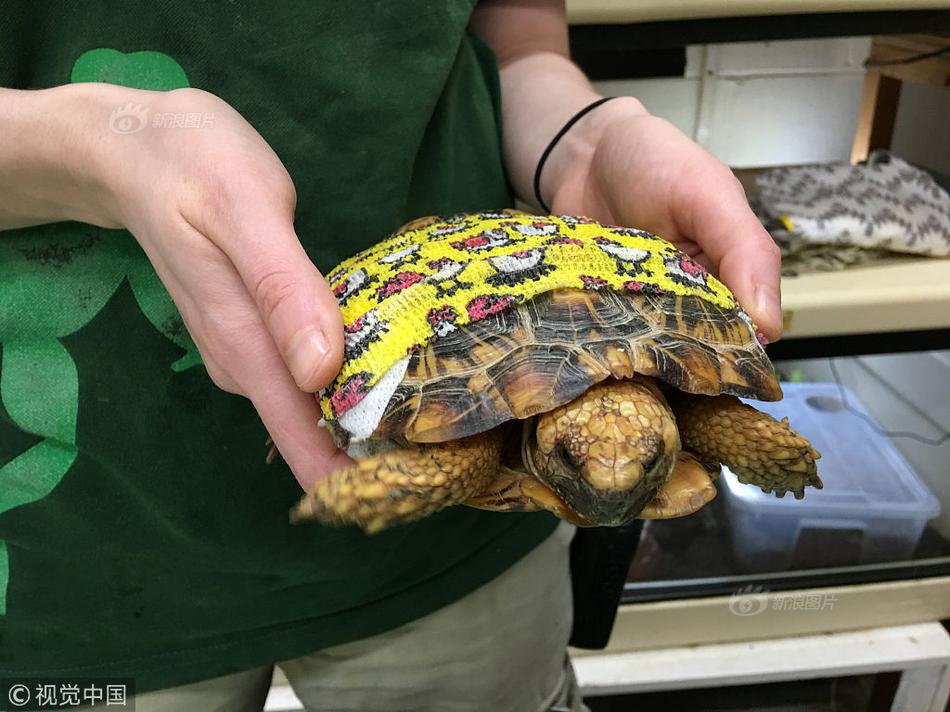 Local businesses partnered to host a street fair with live music and food stalls to boost community spirit