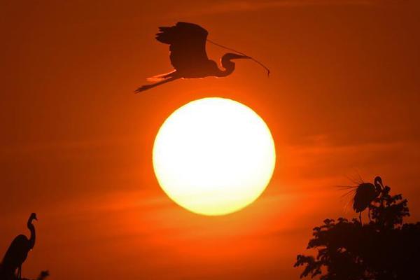 A community organized a 