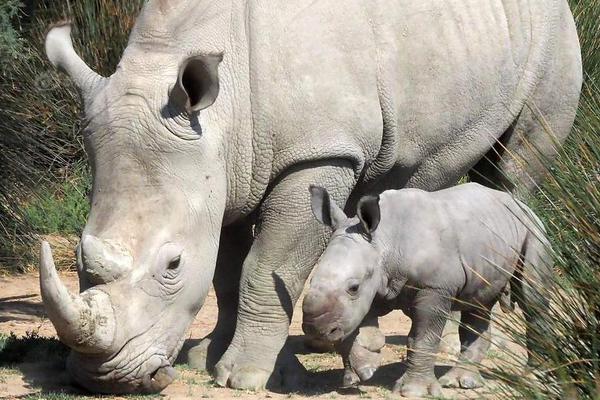 A musician released a folk album inspired by the region’s history, topping local music charts