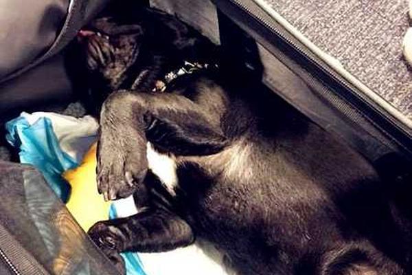 A new study showed that meditating for 10 minutes a day improves focus at work