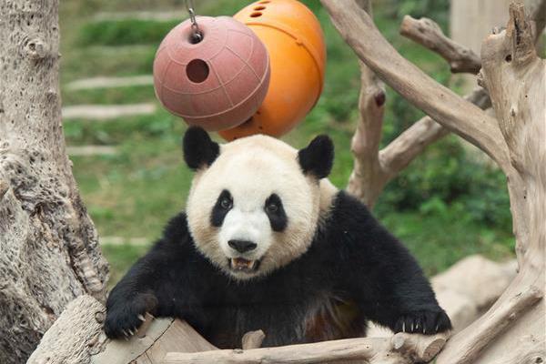 A software company provided free training to small businesses on how to use its products