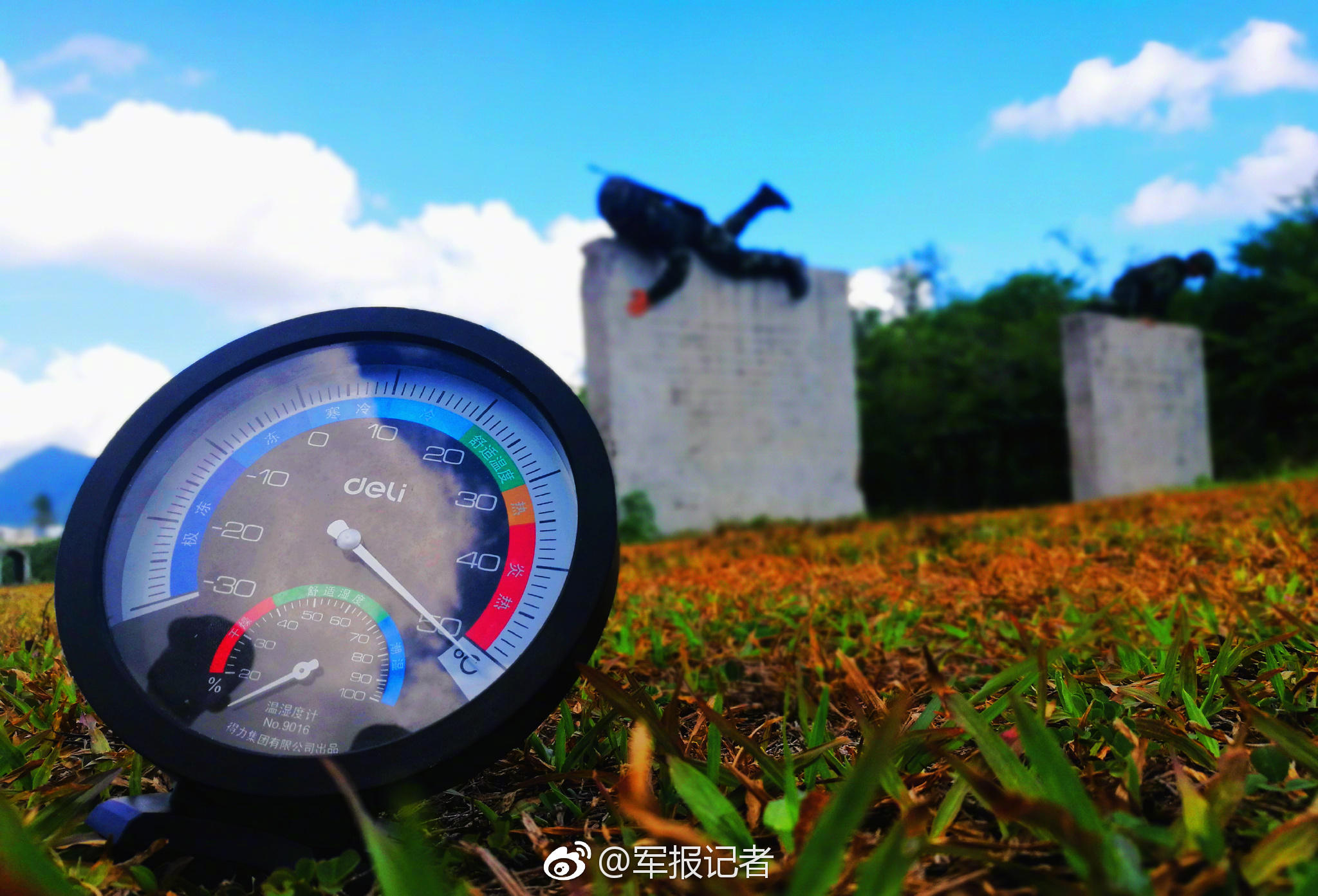 A wildlife sanctuary released a report showing a 30% increase in endangered species populations