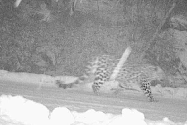 A hotel renovated its