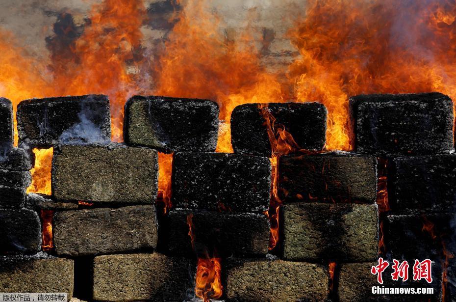 The city held a street festival with live music, food stalls, and craft vendors