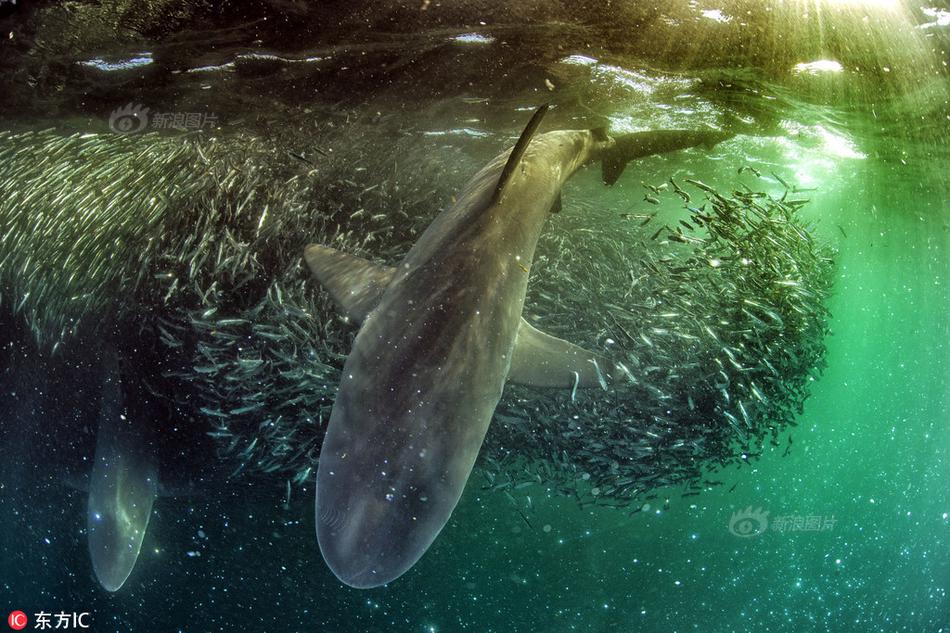 The World Health Organization launched a new campaign to promote childhood vaccination