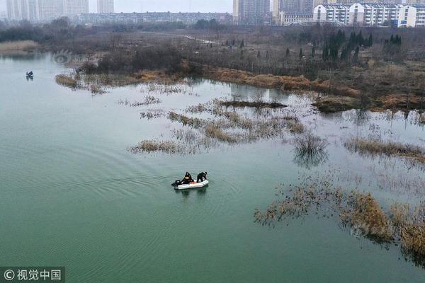 The government announced plans to invest in renewable energy infrastructure, including wind farms and solar power plants.