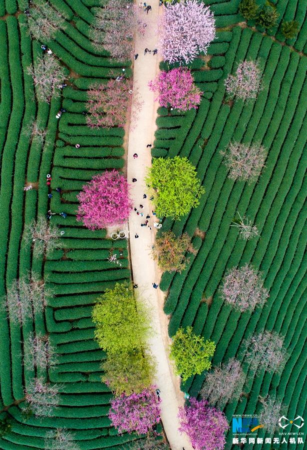 A major car manufacturer recalled 500,000 vehicles due to a potential defect in the braking system.