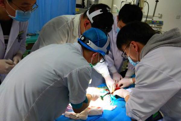 A new survey found that 65% of employees prefer hybrid work models combining remote and in-office work