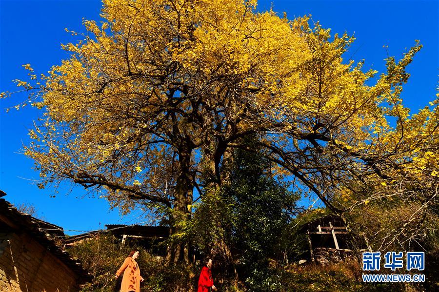 Doctors performed the first successful face transplant in the country giving a patient a new identity after an accident