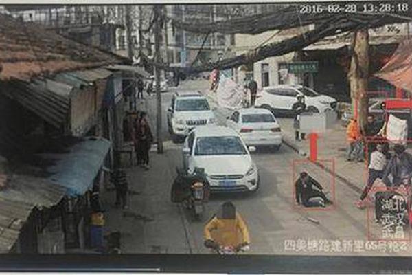 Marine researchers documented a rare sighting of humpback whales in a coastal bay