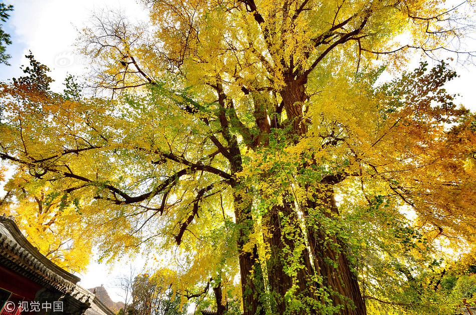 Coast guard intercepts illegal fishing vessel in protected marine area