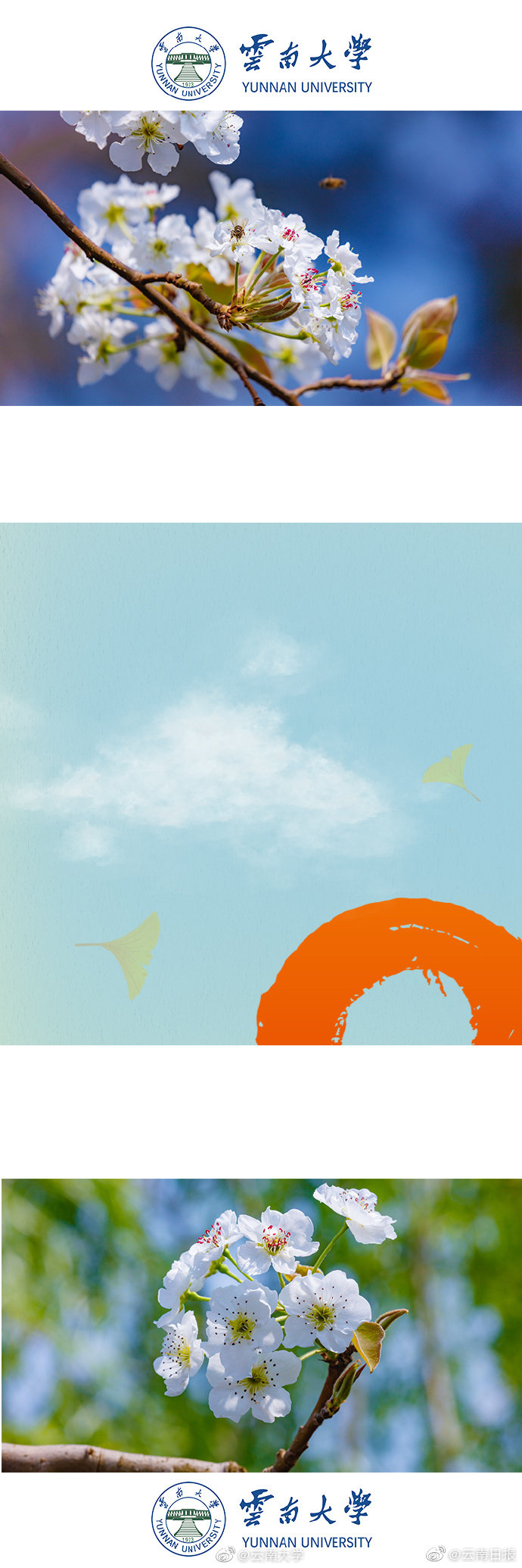 A tech startup raised $140 million to develop artificial intelligence tools for the healthcare industry