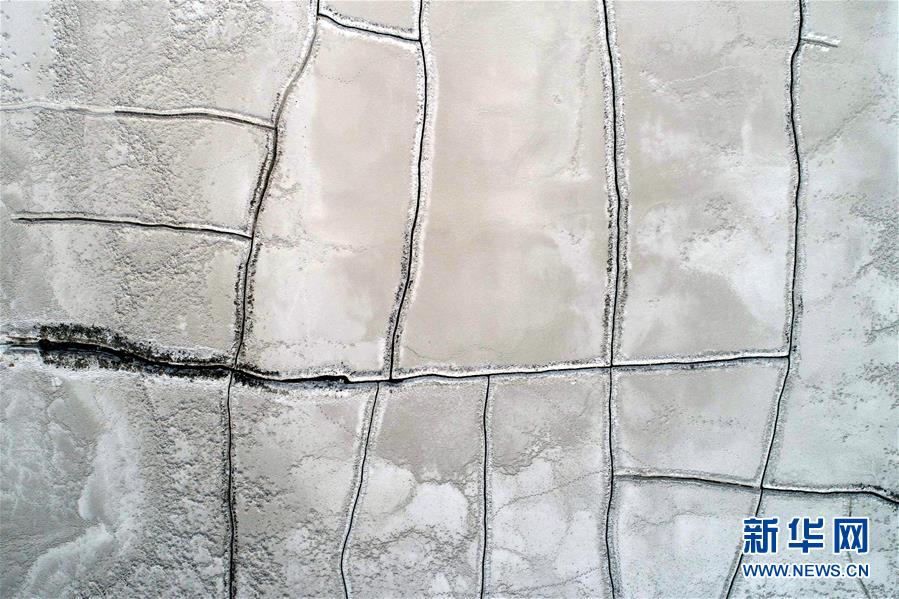 Researchers published a study linking regular fruit consumption to better skin health