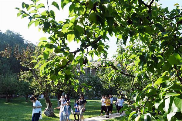 Environmental activists protested against a new oil drilling project in a protected area