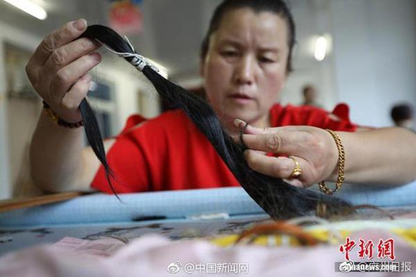 A national park recorded a 20% increase in visitor numbers compared to the same month last year