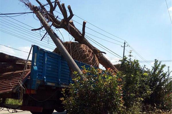 A coffee shop sourced its beans from a fair-trade farm to support ethical farming practices