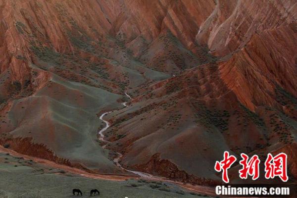 A community garden started a 