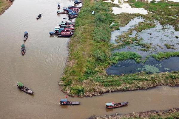 A popular fashion brand announced a collaboration with a famous celebrity