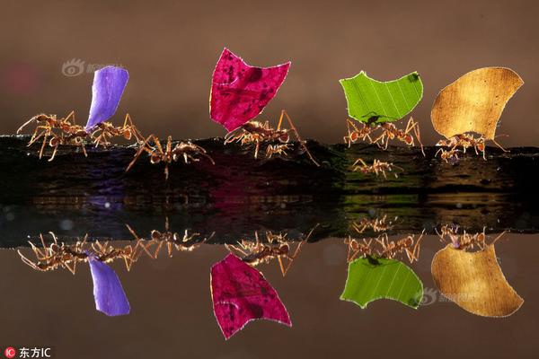 A school district started a summer school program for students needing extra help in math and reading