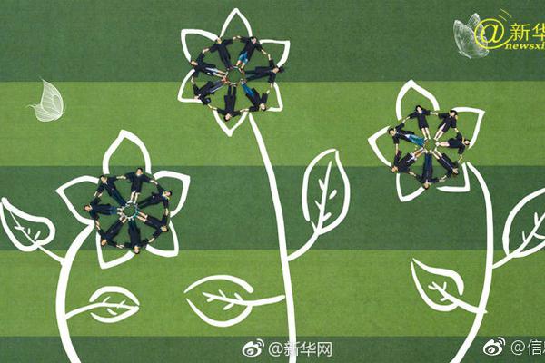 A gym added a new weight training section with state-of-the-art equipment