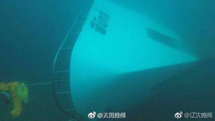 A new study revealed that spending time with family pets lowers stress hormones in adults