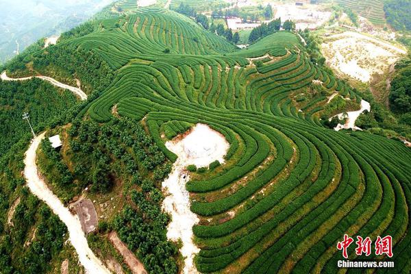 A fashion brand released a new line of activewear designed for yoga and pilates