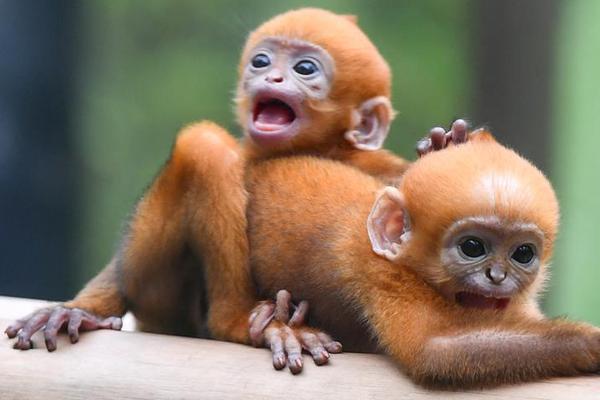 A new study revealed that practicing mindfulness meditation reduces symptoms of post-traumatic stress disorder