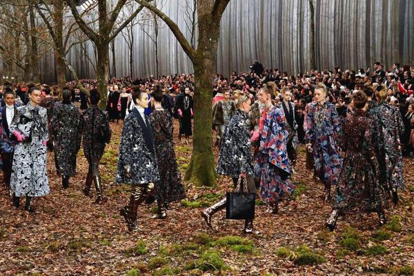 A new species of bird was spotted in a national park