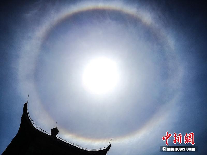 A bakery made custom cupcakes for events