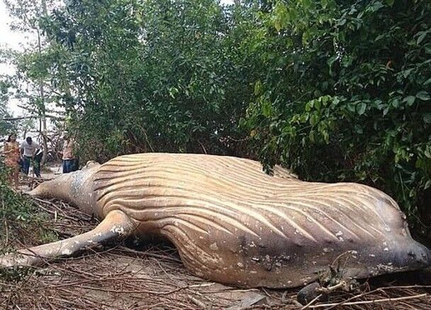 A multinational company said it will relocate its headquarters to a smaller city to cut costs and support local economies