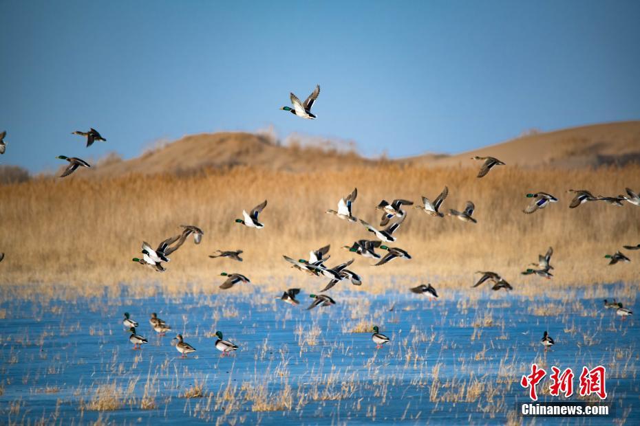 A hospital opened a new sports medicine clinic to treat athletes of all ages and skill levels