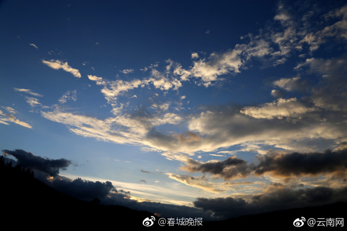 An energy company announced it will close all coal-fired power plants by 2028