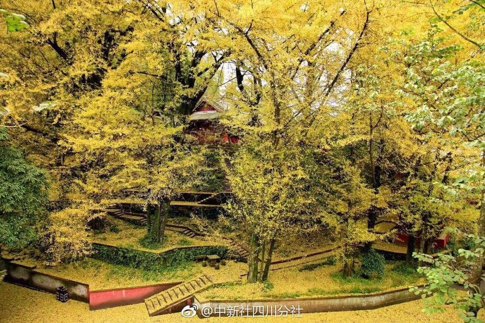 The government introduced new regulations to reduce food waste in restaurants