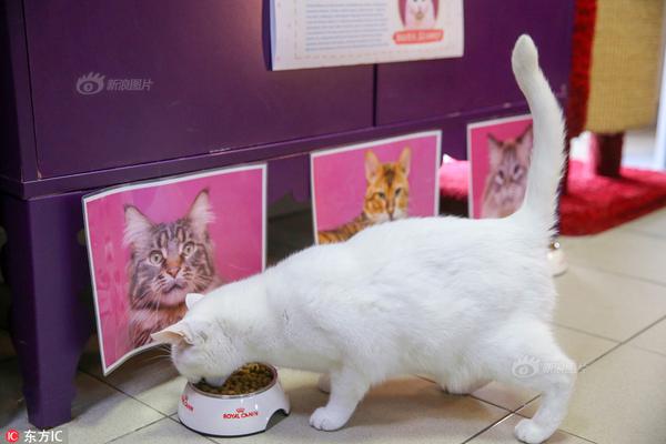 The university offered online courses to students from other countries