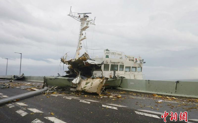 Researchers discovered that certain plants can remove harmful chemicals from the soil