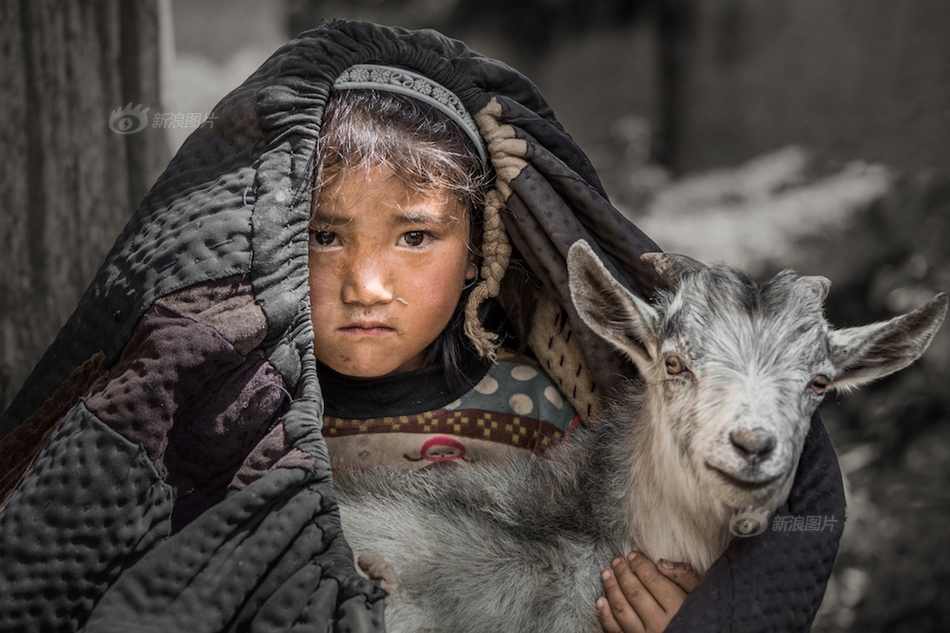 A city council discussed plans to build a new skate park in a public park