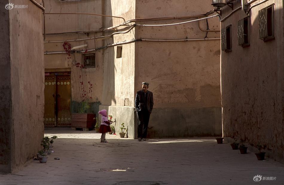 A popular music festival revealed its lineup will include both legendary artists and rising stars