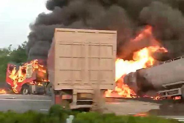 A new species of plant was discovered in a tropical rainforest