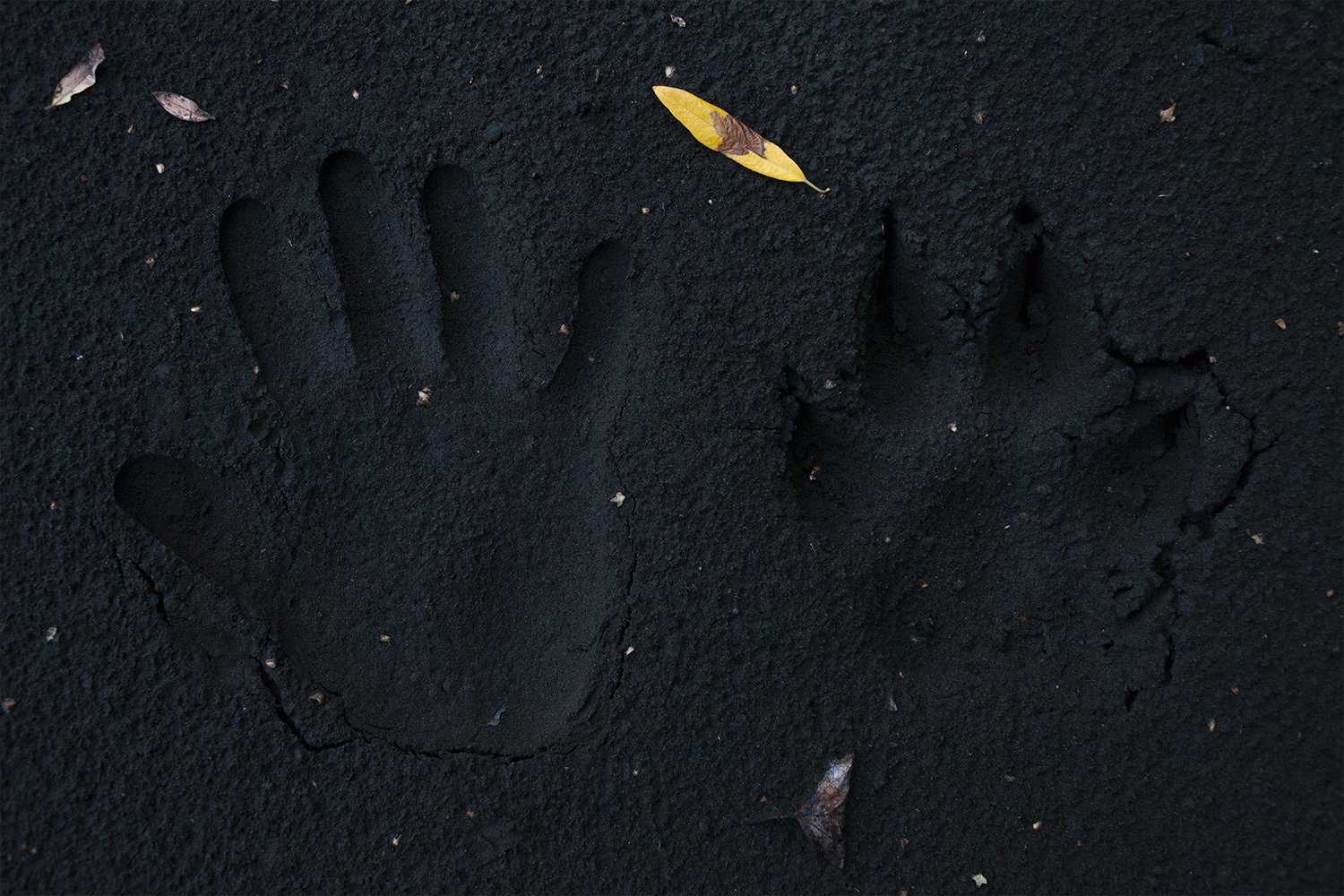 The stock market experienced strong growth due to positive economic news