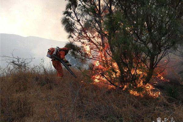 Education ministers from across the region agreed to implement a unified curriculum for primary and secondary schools