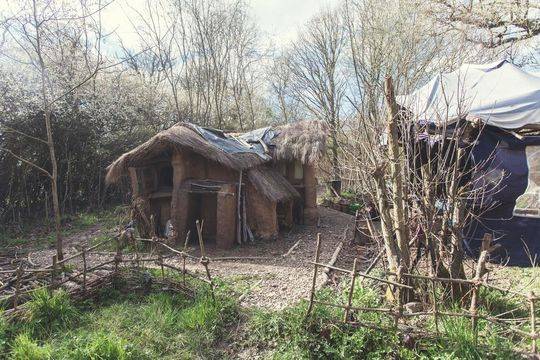 Juice bar uses organic fruits to make cold pressed juices