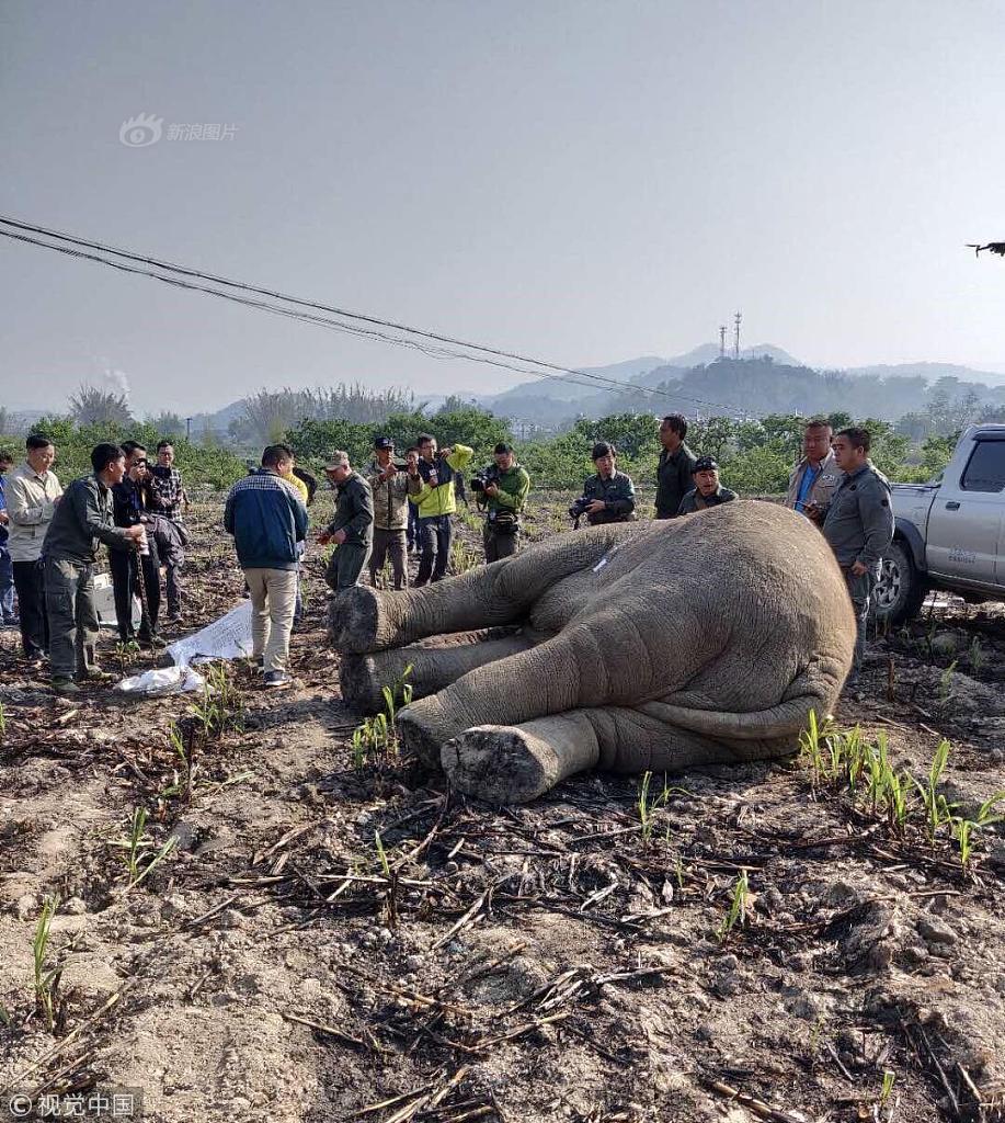 Book club discusses novel about climate change and environmental activism