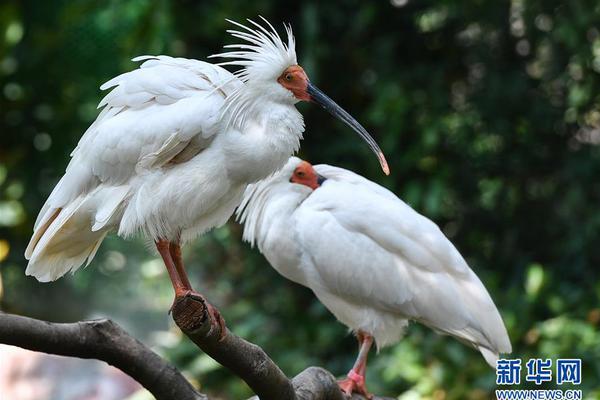 The public transit system started offering a monthly pass that includes free bike rentals