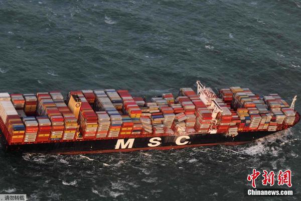 A pet store hosted a training workshop for new dog owners