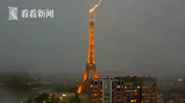 A pet rescue organization held a 