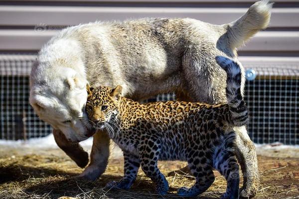 Scientists observed changes in animal behavior due to climate change