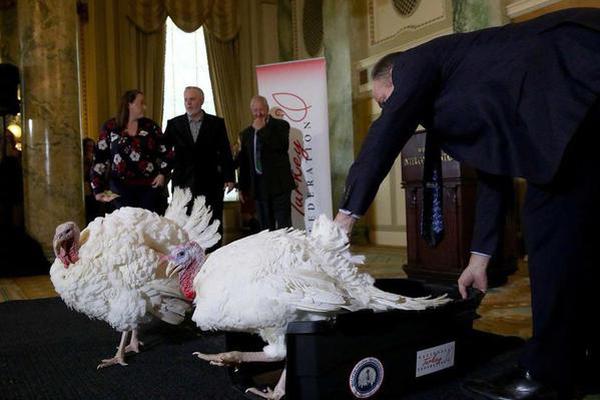 A fashion brand collaborated with a local artist to design a limited edition collection